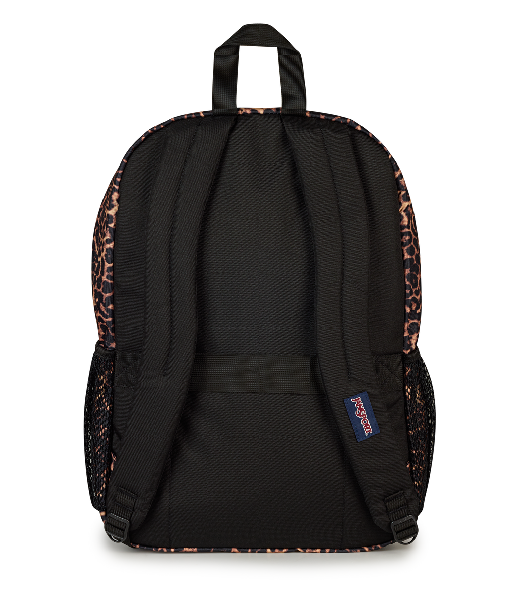 Big Plans